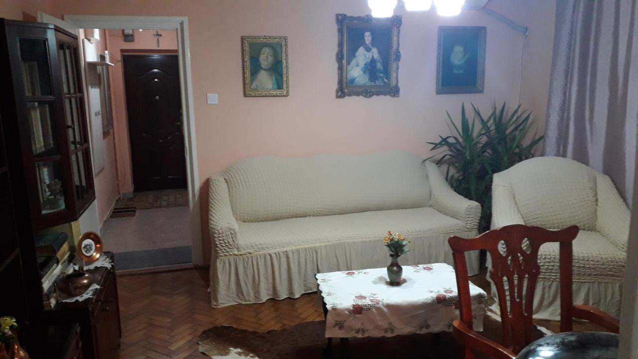 Cozy, Central 1-Bedroom Apartment In Timisoara, Romania Exterior photo